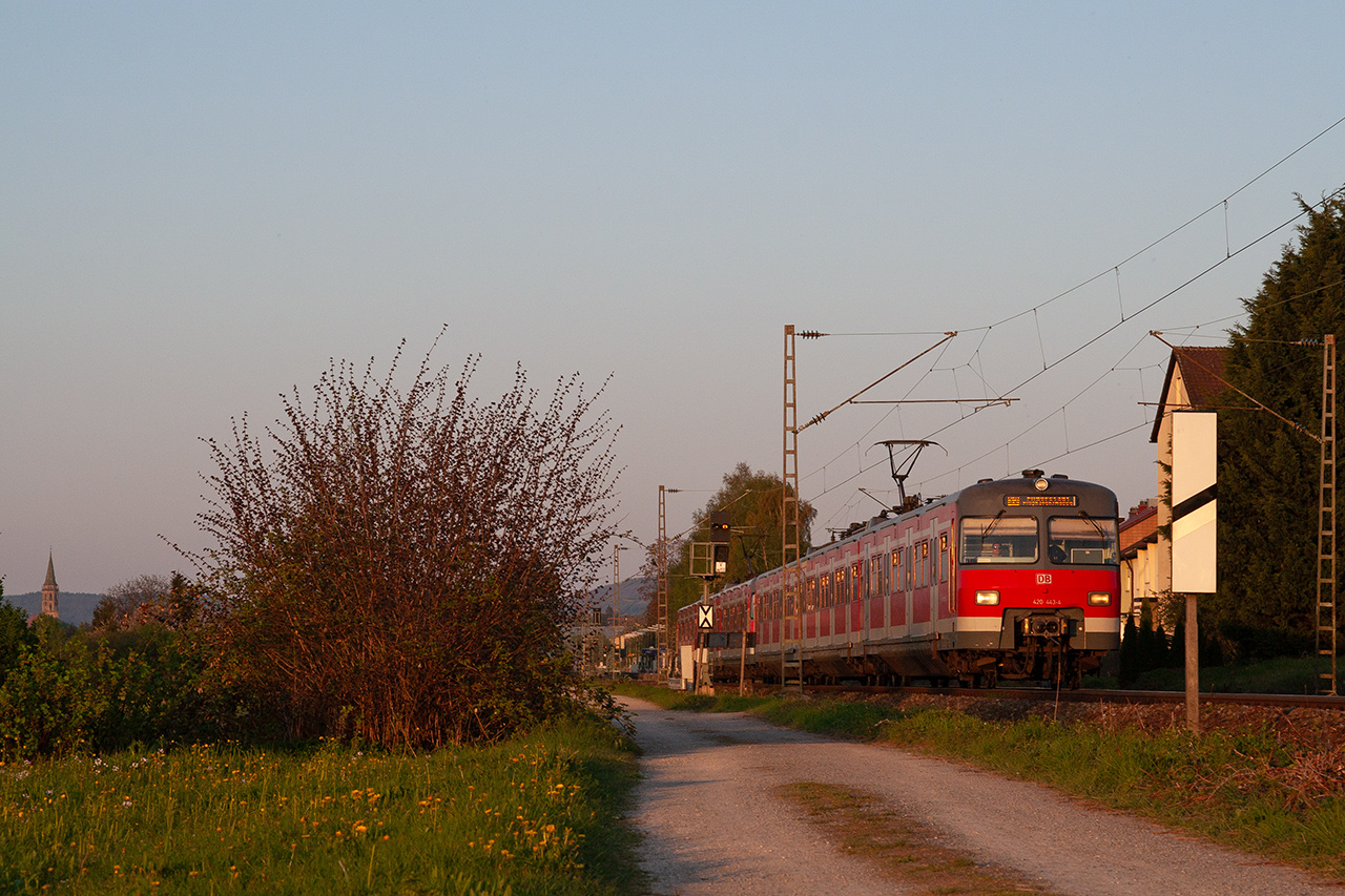 420 443-4